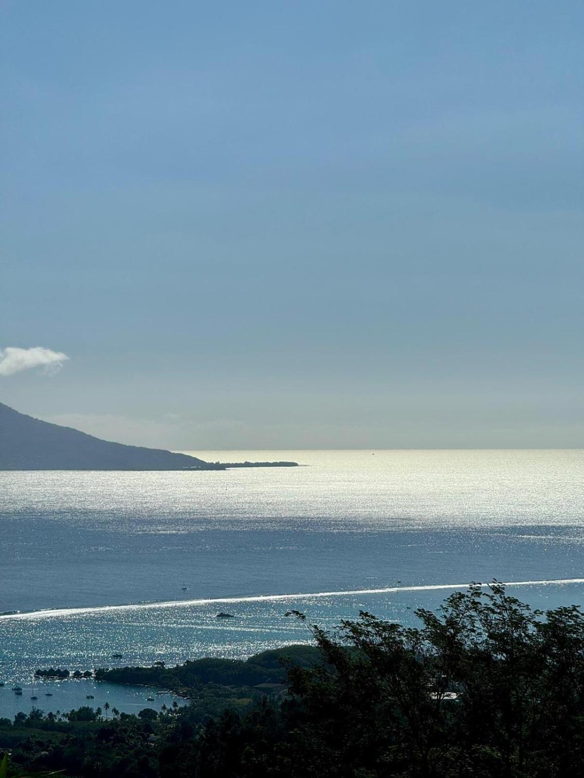 Logement Cosy Avec Piscine Et Vue Tahiti Punaauia Экстерьер фото